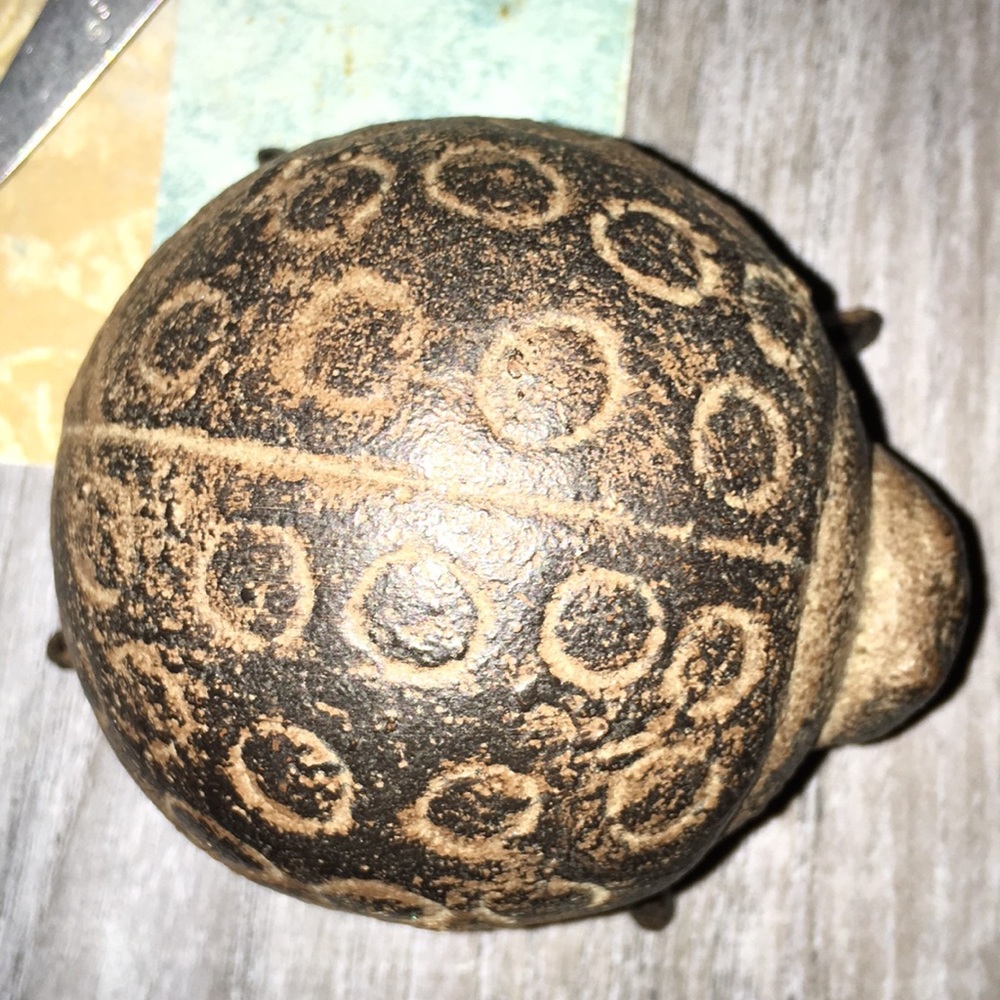 Cast lady bug